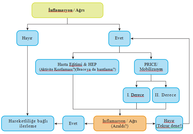 https://www.prokalite.com/dokumanlar/editorImages/f/f157057ef49bb9d457155544ff968782.png